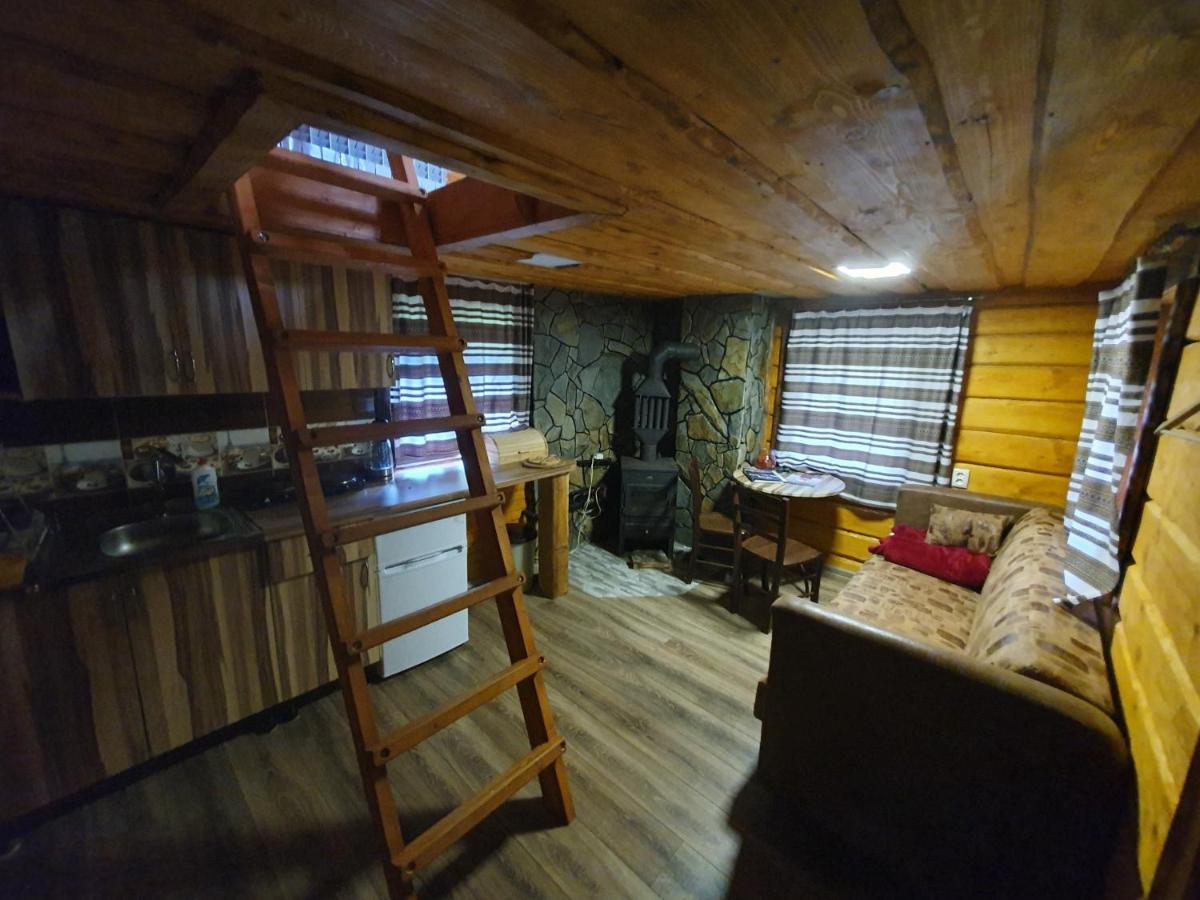 Трембіта Rakhiv Dış mekan fotoğraf