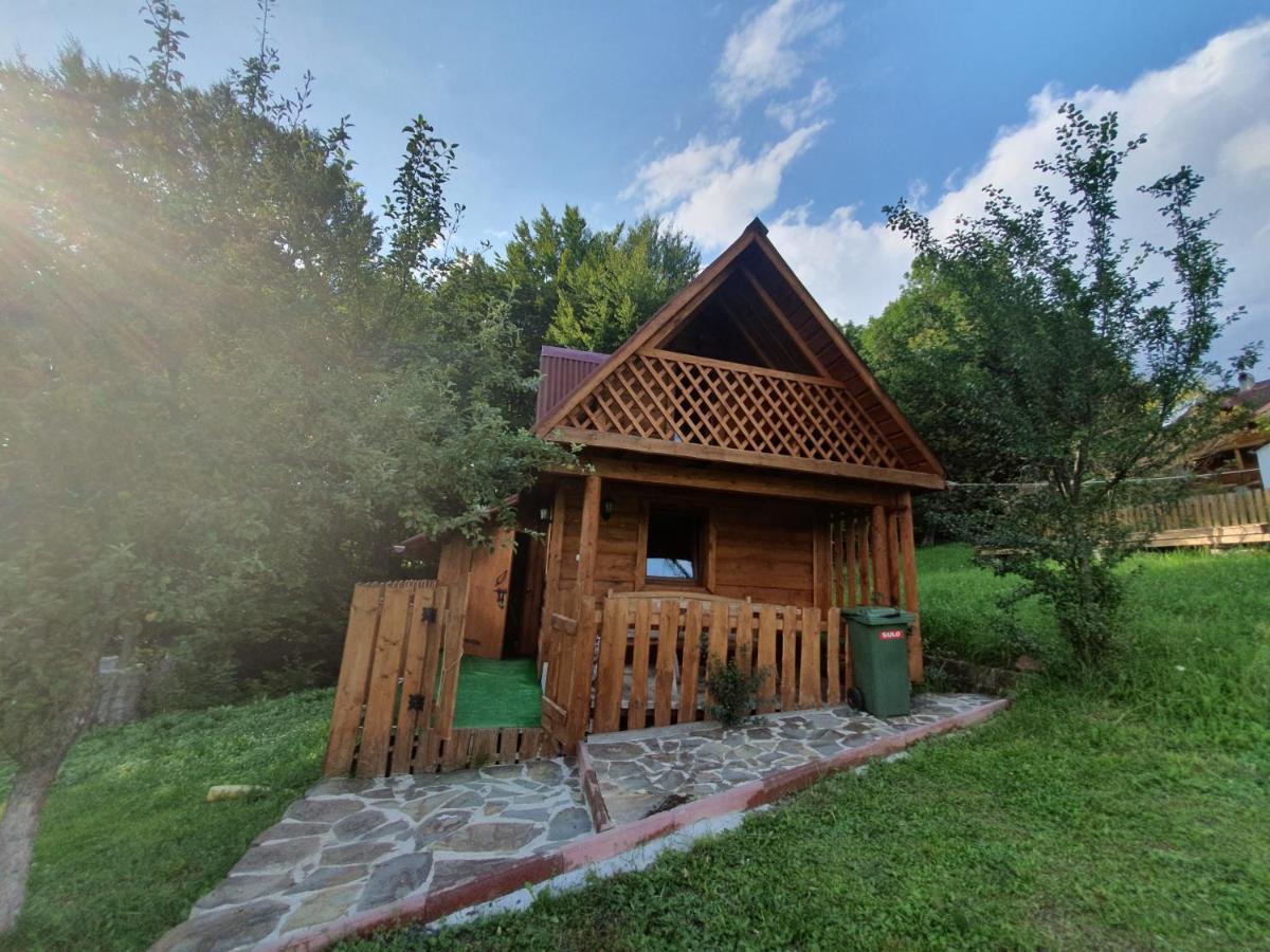 Трембіта Rakhiv Dış mekan fotoğraf